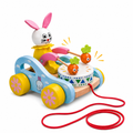 Wooden Rabbit Pull-Along Toy with Moving Carrots – Next Gen Toys